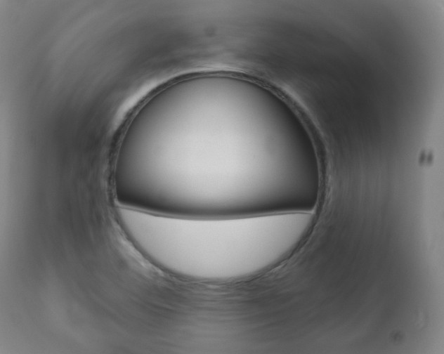 X0000110861460200906180933
