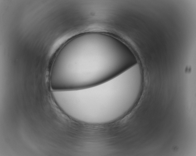 X0000110861461200906180933