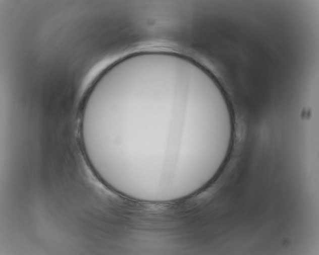 X0000110861462200906180933