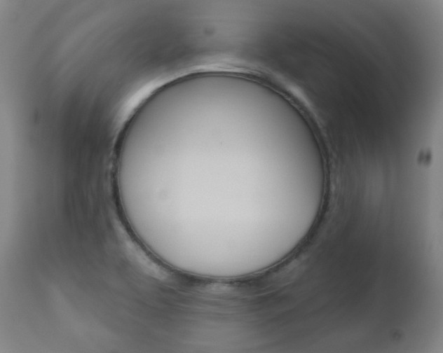 X0000110861463200906180933
