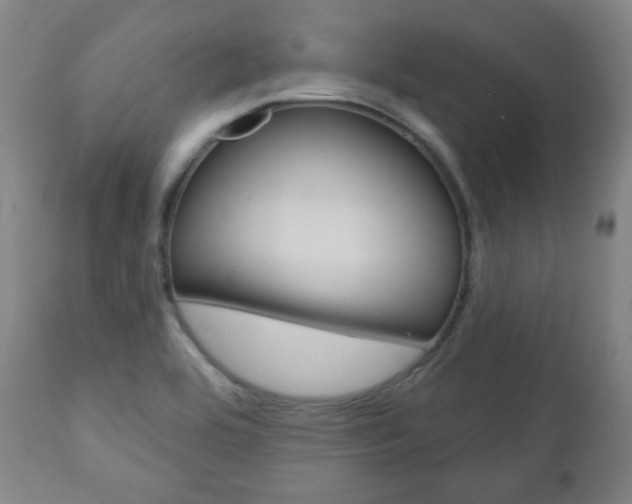 X0000110861464200906180933