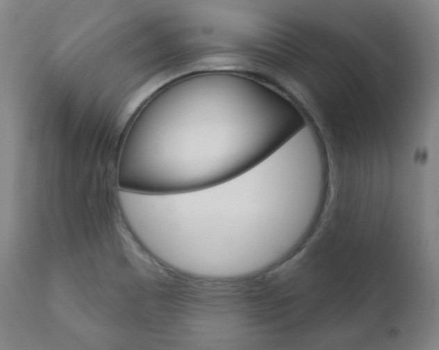 X0000110861465200906180933