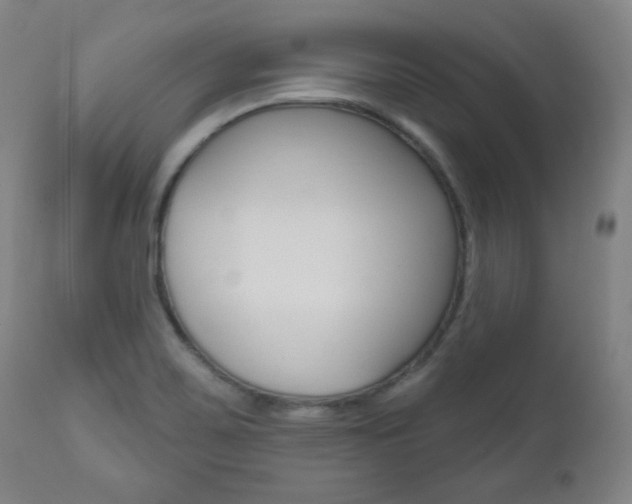 X0000110861467200906180933