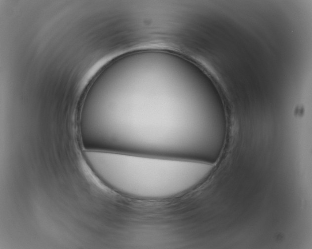X0000110861468200906180933