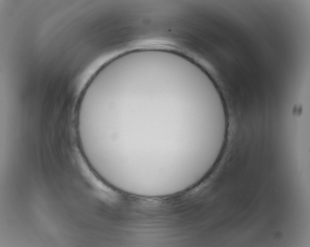 X0000110861470200906180933