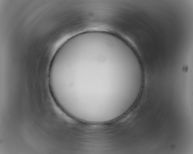 X0000110861471200906180933