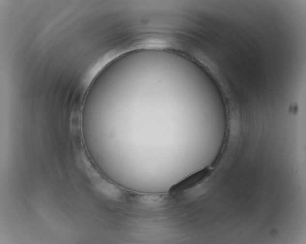 X0000110861473200906180933