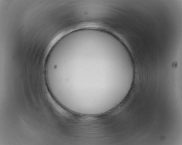 X0000110861475200906180933