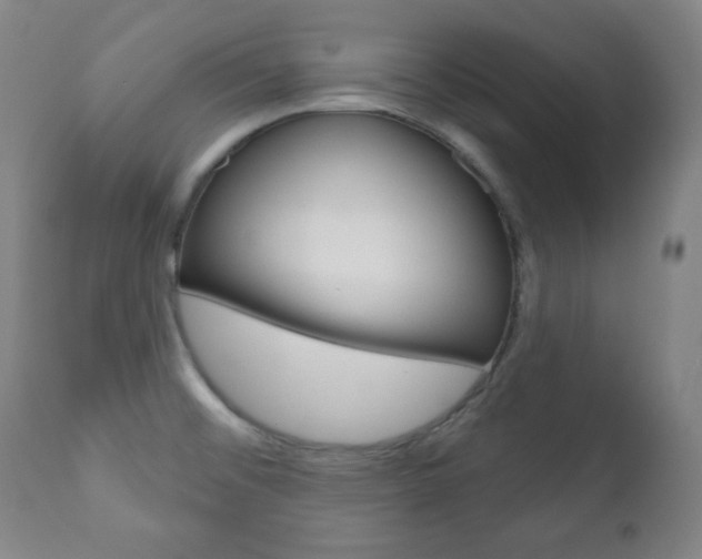 X0000110861476200906180933