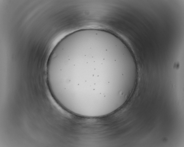 X0000110861479200906180933