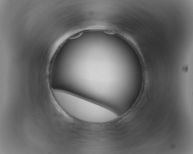 X0000110861480200906180933