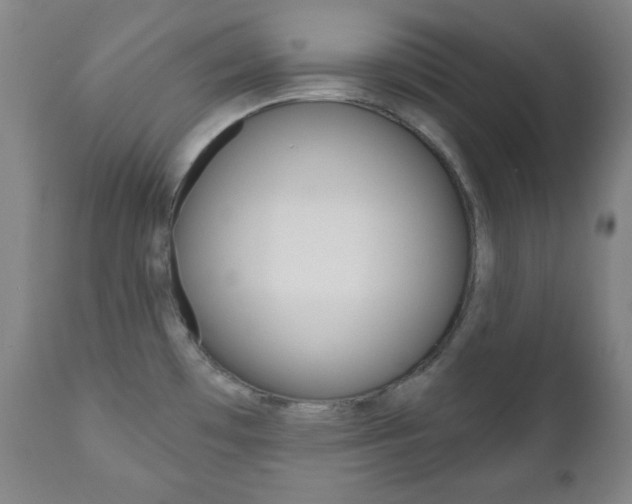 X0000110861481200906180933