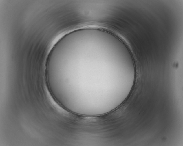 X0000110861483200906180933