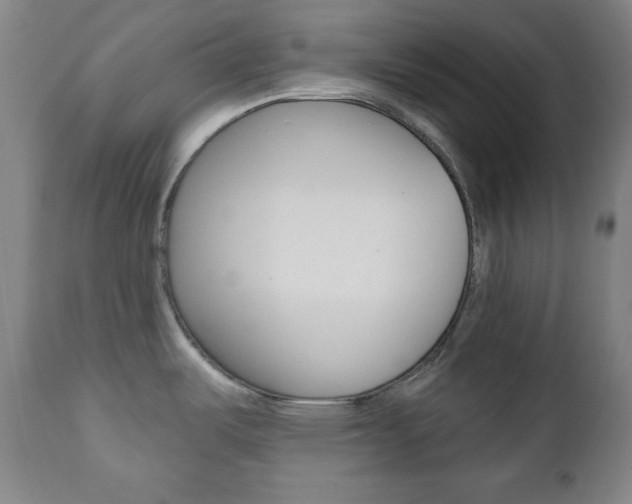 X0000110861487200906180933