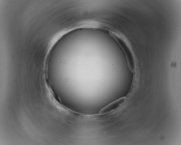 X0000110861488200906180933