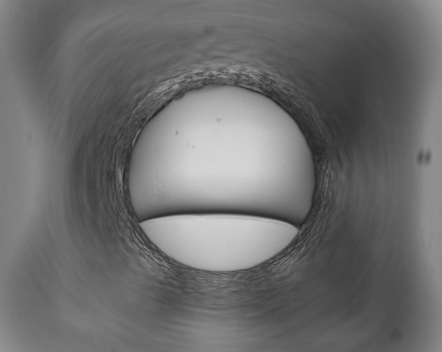 X0000110861489200906180932