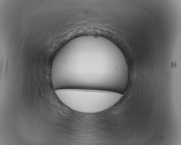 X0000110861490200906180932
