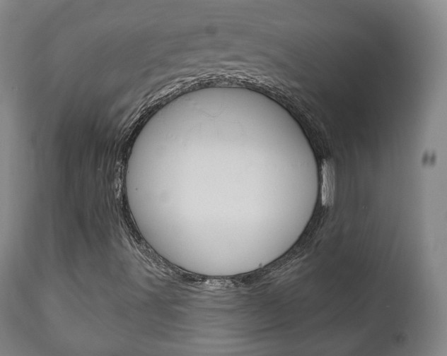 X0000110861491200906180932