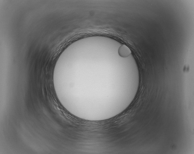 X0000110861492200906180932