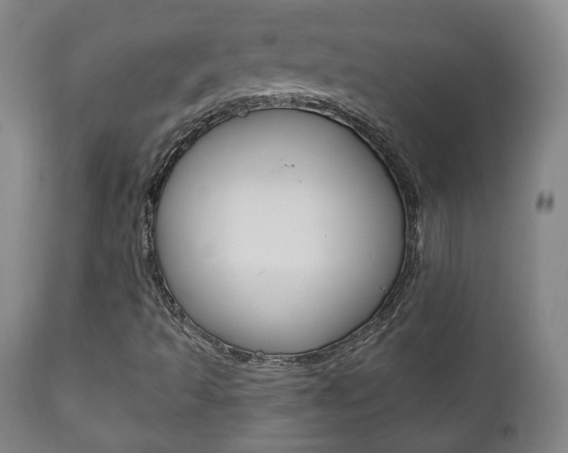 X0000110861493200906180932
