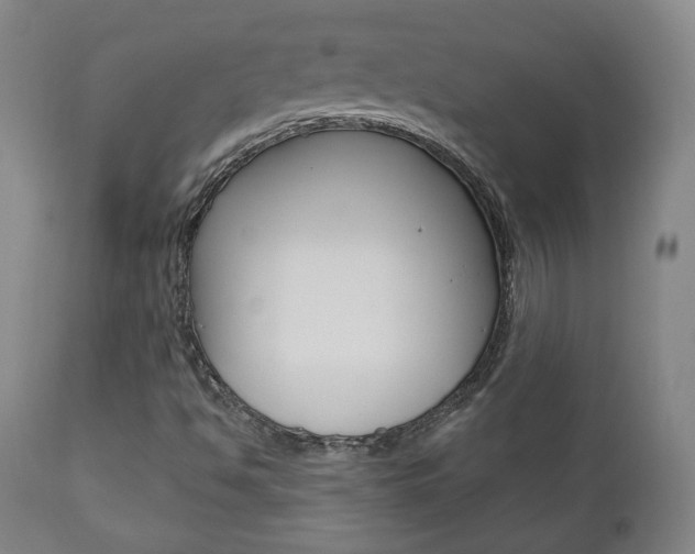 X0000110861494200906180932