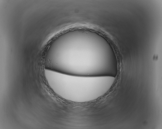 X0000110861496200906180932