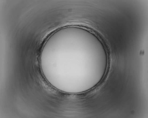 X0000110861497200906180932