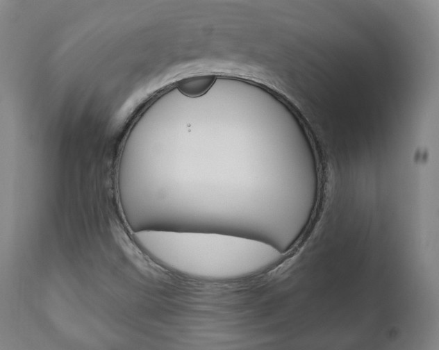 X0000110861499200906180932