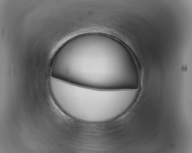 X0000110861500200906180932