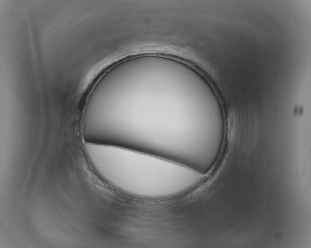 X0000110861501200906180932