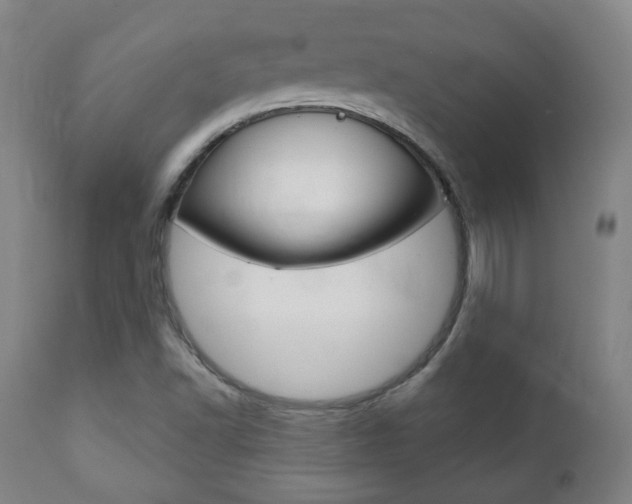 X0000110861502200906180932