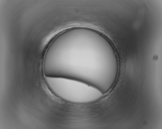 X0000110861503200906180932