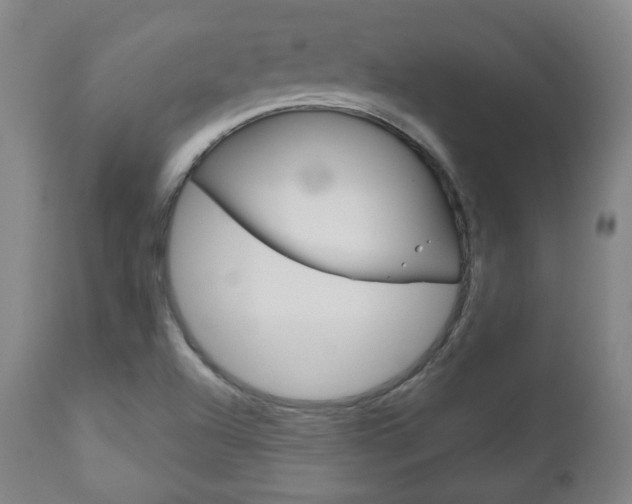X0000110861504200906180932