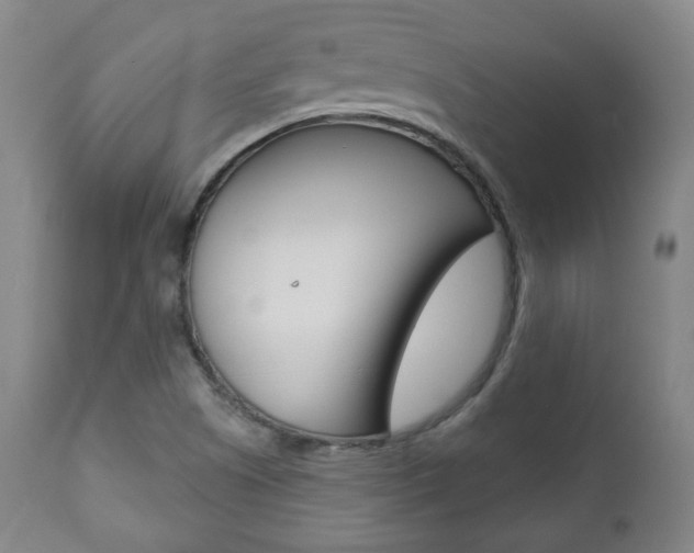X0000110861505200906180932