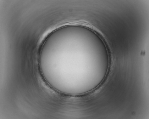 X0000110861506200906180933