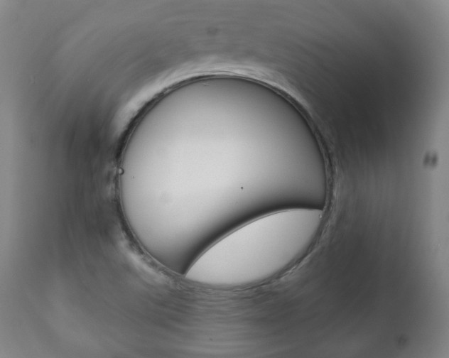 X0000110861507200906180933