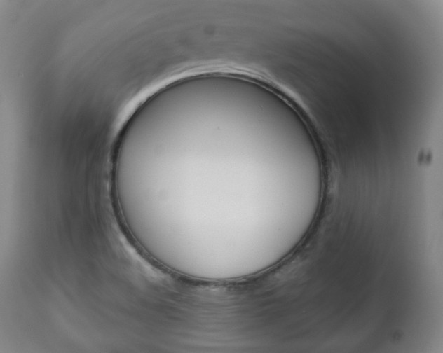 X0000110861508200906180933