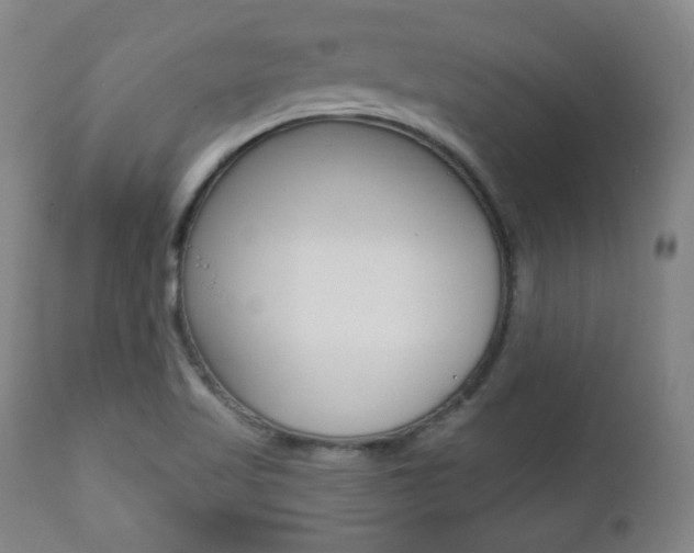X0000110861509200906180933