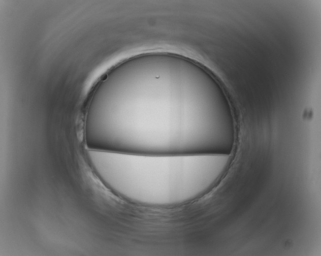 X0000110861510200906180933