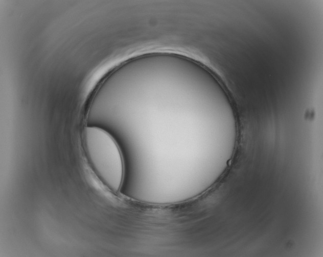 X0000110861511200906180933