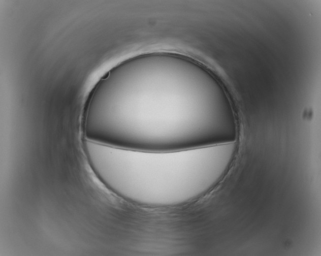 X0000110861512200906180933