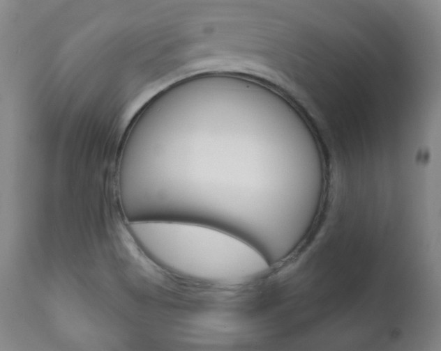 X0000110861513200906180933