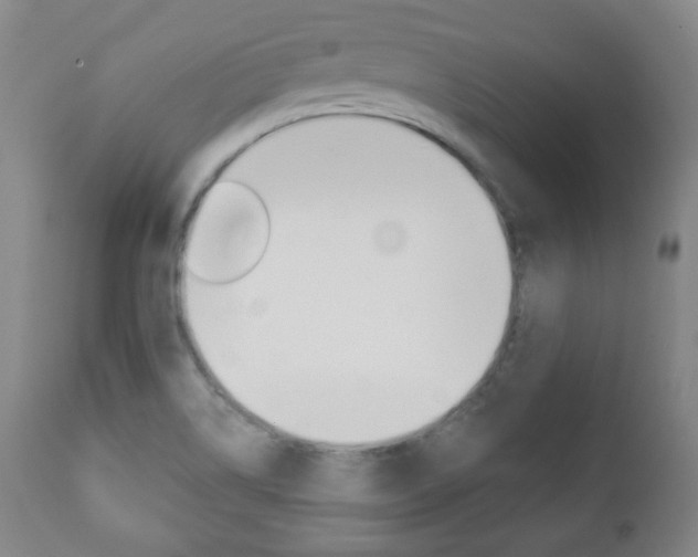 X0000110861514200906180933