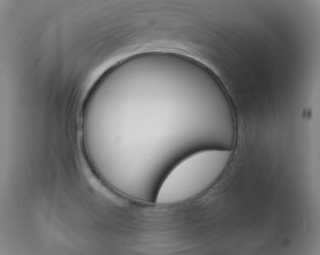 X0000110861515200906180933