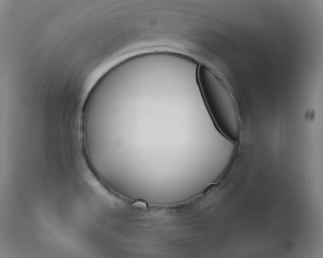 X0000110861516200906180933