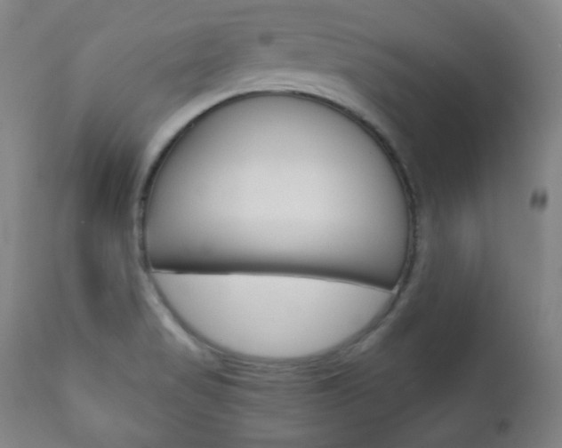 X0000110861517200906180933