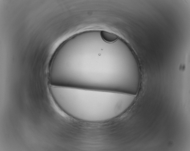 X0000110861519200906180933