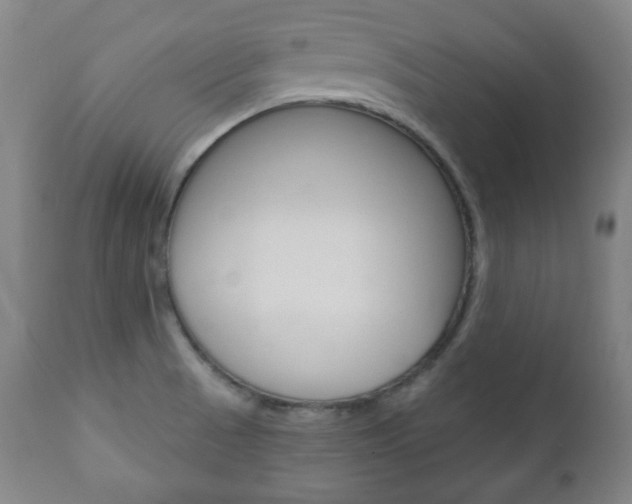 X0000110861521200906180933