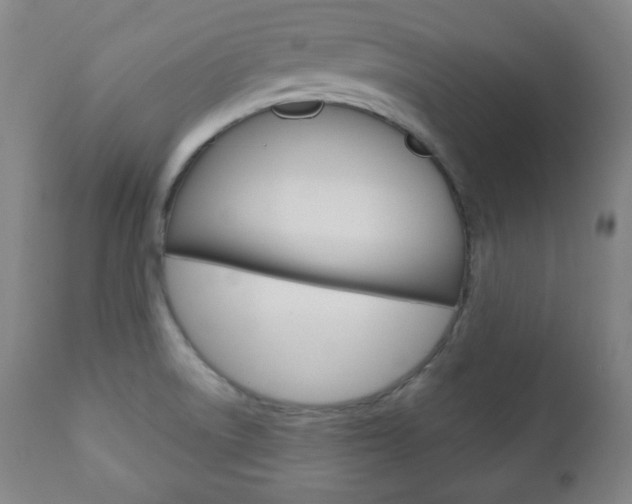 X0000110861522200906180933