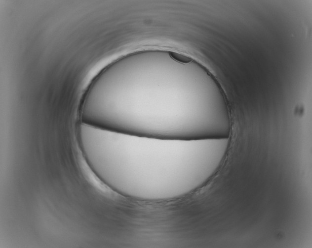 X0000110861523200906180933